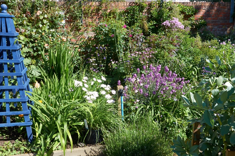 Seaford Community Garden